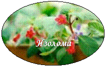 Овал: Изолома
